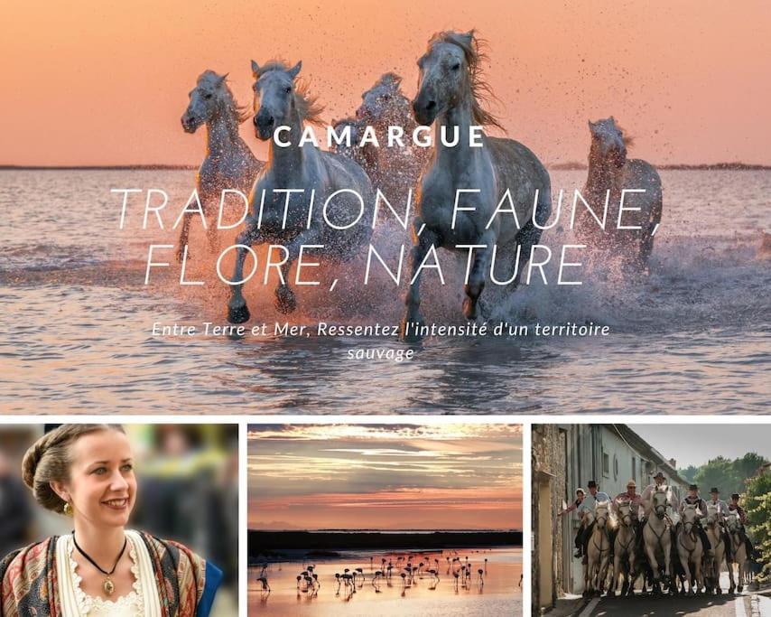 Le Nautilus Proche Plage Clim Parking Prive Wifi Proche Montpellier 卡诺海滩 外观 照片